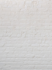 저그인(저 그런 인재 아닙니다)