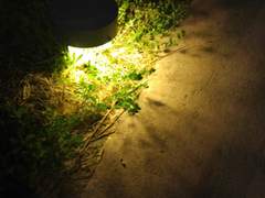 너를 잊어버리는 방법