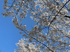 외모가 조금 부족해도, 말로 남자를 사로잡는 법1