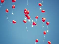 그들의 결혼 (Happily Ever After)