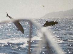 어둠과 바람이 유리창에 부닥치기 전