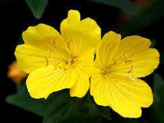 [토도로키 가] 「가족」