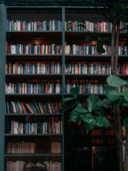 분류 - 크로스워즈 - 썰집