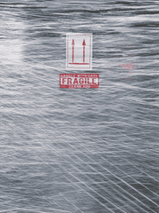 플로이드 길들이기