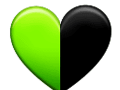 하얀 아이와 검은 아이