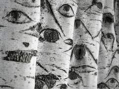 유령과 함께 춤을