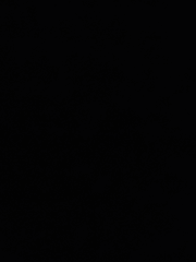 네가 날 죽여야 했던 이유