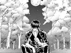 19 | 지금은 정녕 봄이라는데 나만은 쓸쓸하기 그지없는 가을입니다