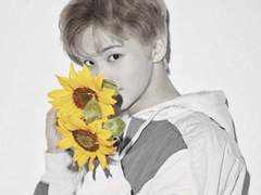 꽃집의 고양이는 예뻐요 7