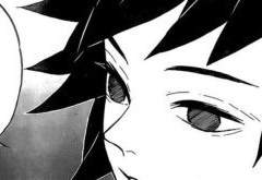 [귀멸의 칼날 상황문답] Sight ver. 토미오카 기유