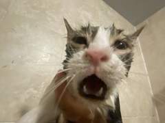 2023 나 보려고 만든 오타쿠 연성모음