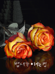 뱁새가 이기는 법