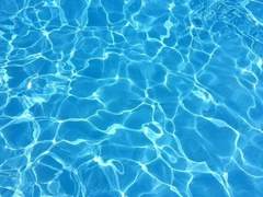 땅윗것들 vs 물속것들