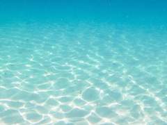 문 소연 / xx / 11세 / 우무문어