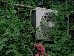 엔딩 이후 커튼콜