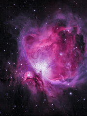 사주 관련 잡글.txt