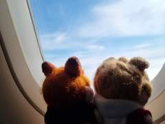 10센치자캐 백업(27)