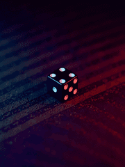 세션&행사 후기