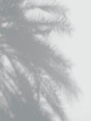 너의 바다를 건지며