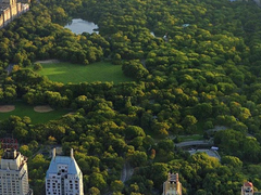 6. 가끔은 행복이 불안하다