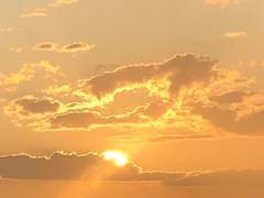 오늘도, 내일도, 언제까지고!