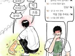 탱댐 / 고양이 전문가