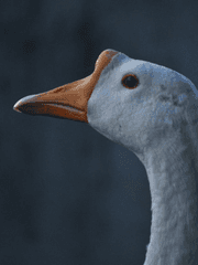 볼케이노? ㄴㄴ 마운트 화 [화산귀환