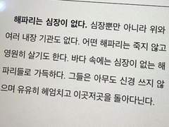 제발 축언은 닥치고요 축복도 그만 좀 주세요*