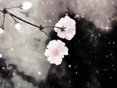 청명❤️묵향 프로필