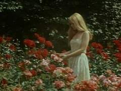 조용히 피어나는 꽃