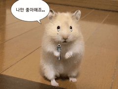 컴션주님을 위한 커플로고 과몰입용 게시글