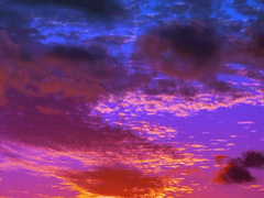 낭만 소실주의자