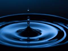 세 번째 조각 : 선율 위의 남자