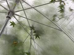 태양빛으로 쓰인 에필로그