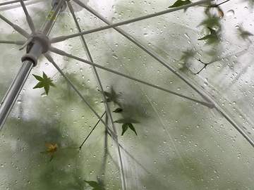 태양빛으로 쓰인 에필로그