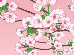 벚꽃 웹툰 브러시 + 3D 소재팩