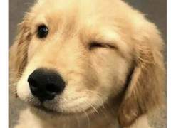 [갑타] 좋아하는 노래로 낙서 연성