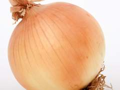 도태남 고찰일지 .0