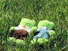 커미션 신청 양식