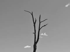 삶의 이유를 찾아드리겠습니다.