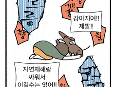 폭풍우치는 밤에 _ 개주인 편