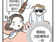 2023 퀴퍼 - 퀴퍼 못가본 사람의 기대