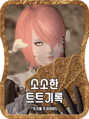 소소한 트트기록