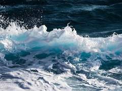 파란 글 커미션