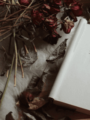 용기사 비상 일지 