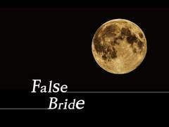 이명헌의 가짜신부