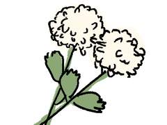 그럼에도 불구하고