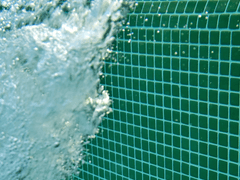 물 만난 언니 - 5