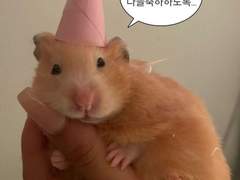 나 원래 그런 사람이잖아