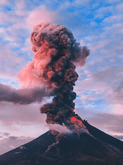 BL세계에서 살아남기